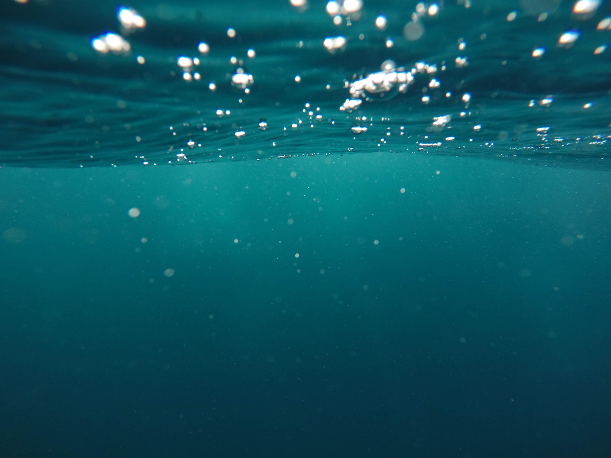 jeremy-bishop-1braZySlEKA-unsplash jeremy-bishop-1braZySlEKA-unsplash